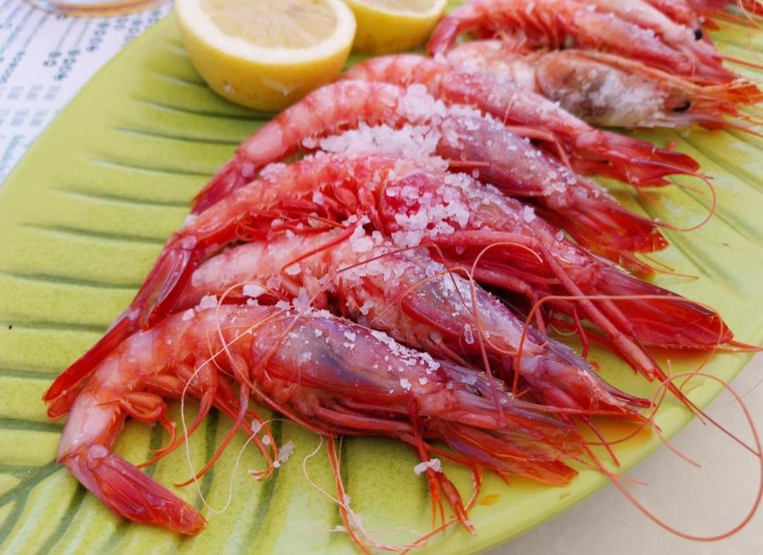 San Juan de los Terreros S&H La Consentida 아파트 외부 사진